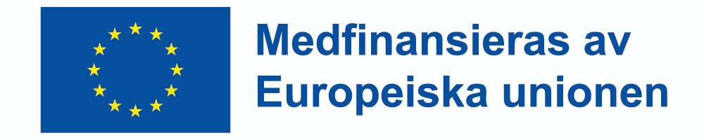 Logotyp: Medfinansieras av Europeiska unionen